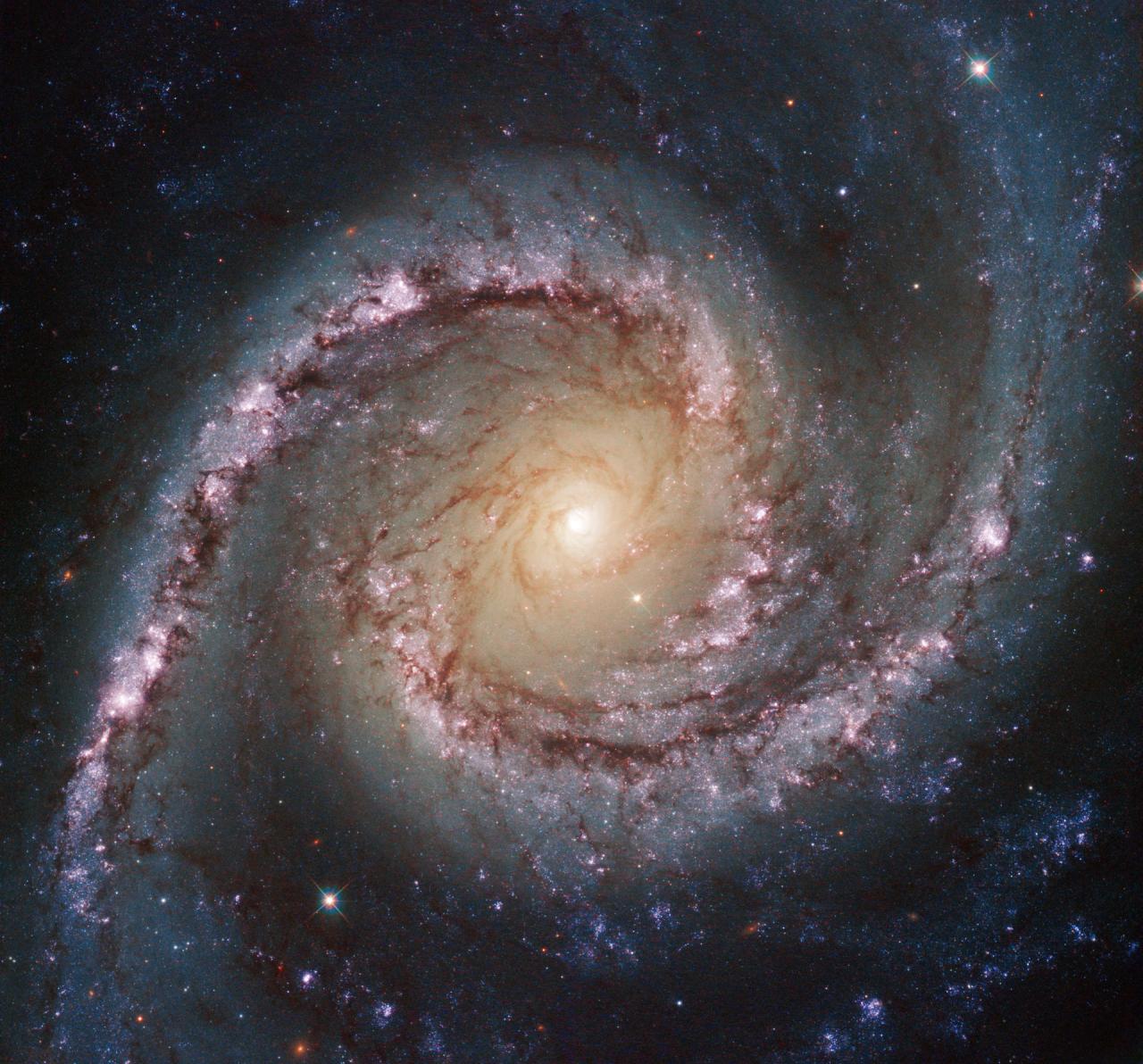 Hubble Views Intermediate Spiral Galaxy NGC 1566 Galaxy note 2